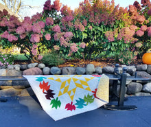 Load image into Gallery viewer, "Autumn Glow" - Throw Quilt