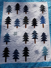 Load image into Gallery viewer, &quot;Twilight Forest&quot; - Throw Quilt